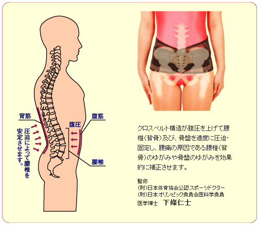 商品の特長