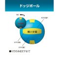 ドッジボールネーム加工