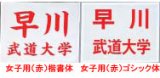 《九櫻・ミツボシ》柔道ゼッケン　プリント加工／赤字（女子用）