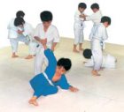 他の写真1: 《九櫻》幼児用柔道衣