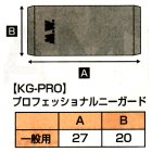 他の写真1: 《マーシャルワールド》プロフェッショナルニーガード