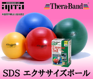 SDS エクササイズボール
