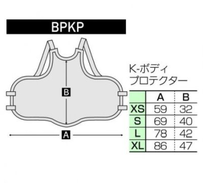 画像1: 《マーシャルワールド》K-ボディプロテクター