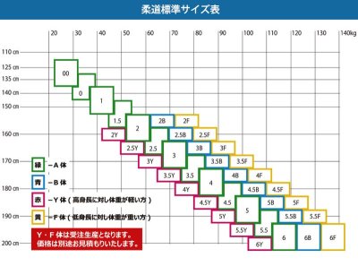 画像1: 《ミツボシ》二重柔道衣　Z-Class　Y体