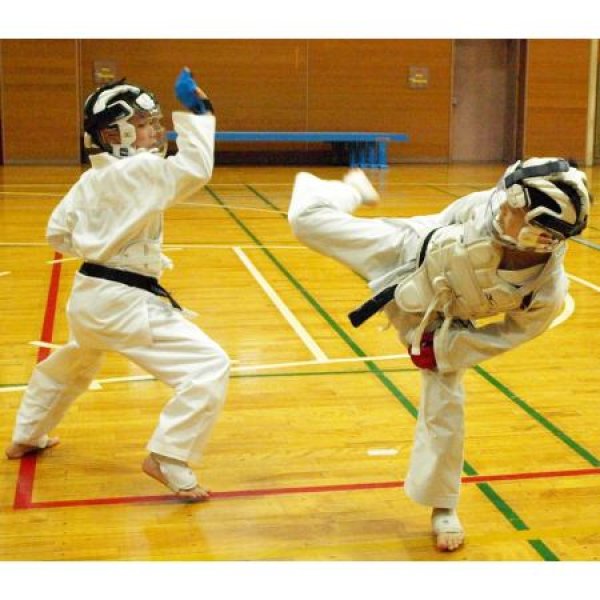 画像2: 《ミツボシ》空手衣 軽量・速乾・伸縮タイプ (2)