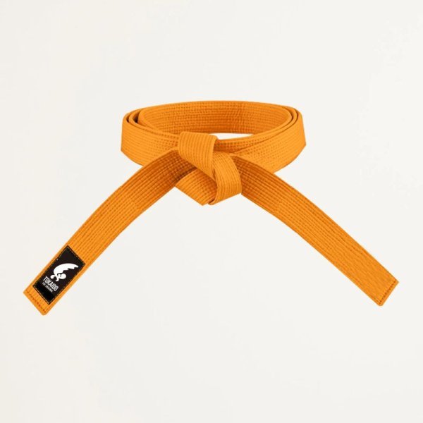 画像2: 《東海堂》色帯(水色、橙、黃)(4号〜7号) (2)