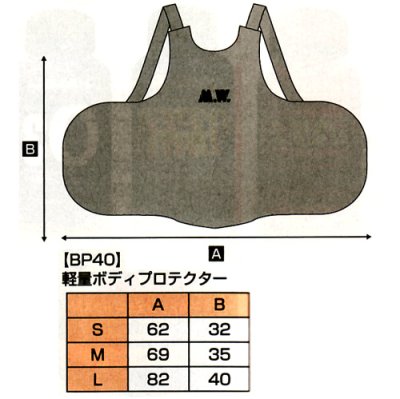 画像1: 《マーシャルワールド》軽量ボディプロテクター