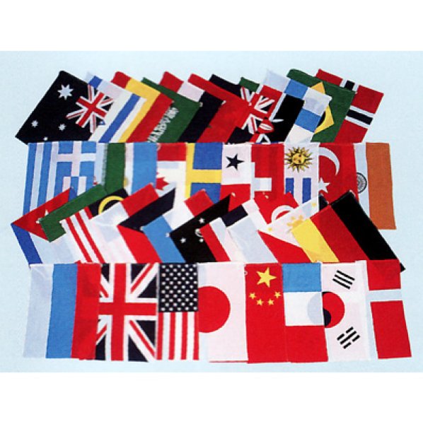 画像1: アクリル万国旗20カ国（34×43cm） (1)