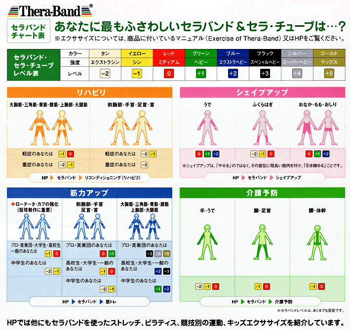 53%OFF!】 DM ディーエム セラバンド THERABAND 5.4m 強度レベル+1 グリーン #TB-3 強度:ヘビー 